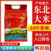 五常大米鴨田香米10斤5kg一袋東北新米稻花長(zhǎng)粒香米廠(chǎng)家批發(fā)代發(fā)